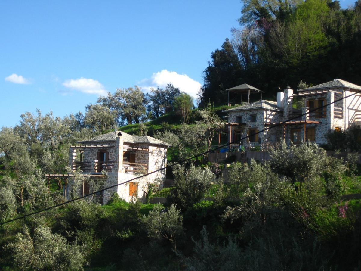 Analipsi Sea View Hommes Villa Zagorá Luaran gambar